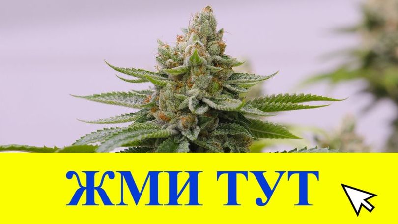 Купить наркотики в Тогучине